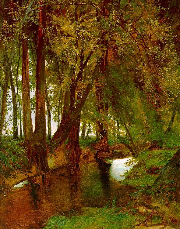 Charles Blechen Woodland with Brook Norge oil painting art